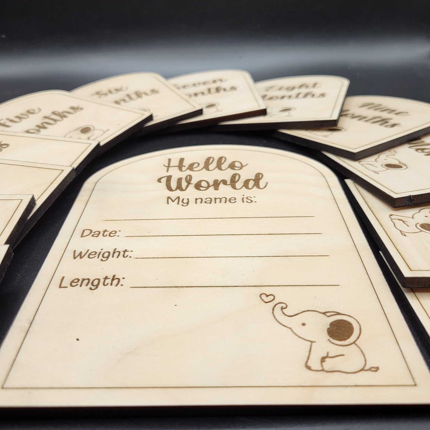 Baby Milestone Month Set Arch