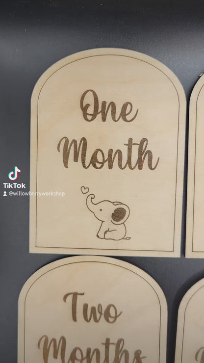 Baby Milestone Month Set