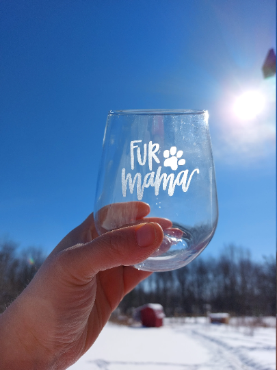 Cat themed glassware